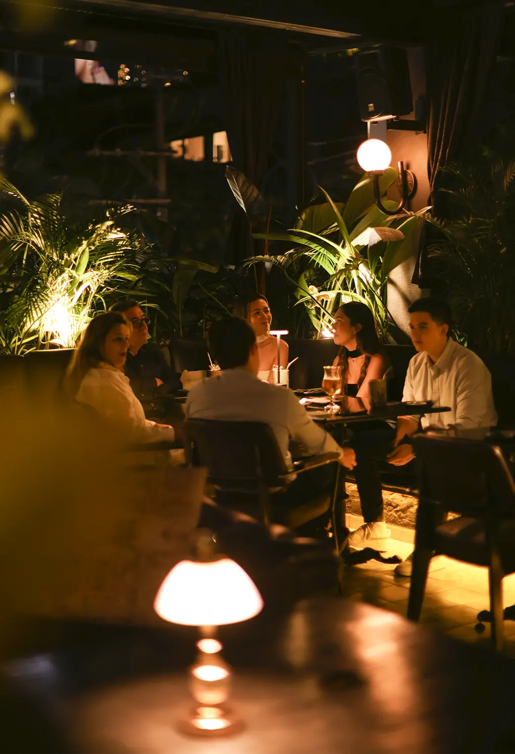 Author’s cuisine restaurant
