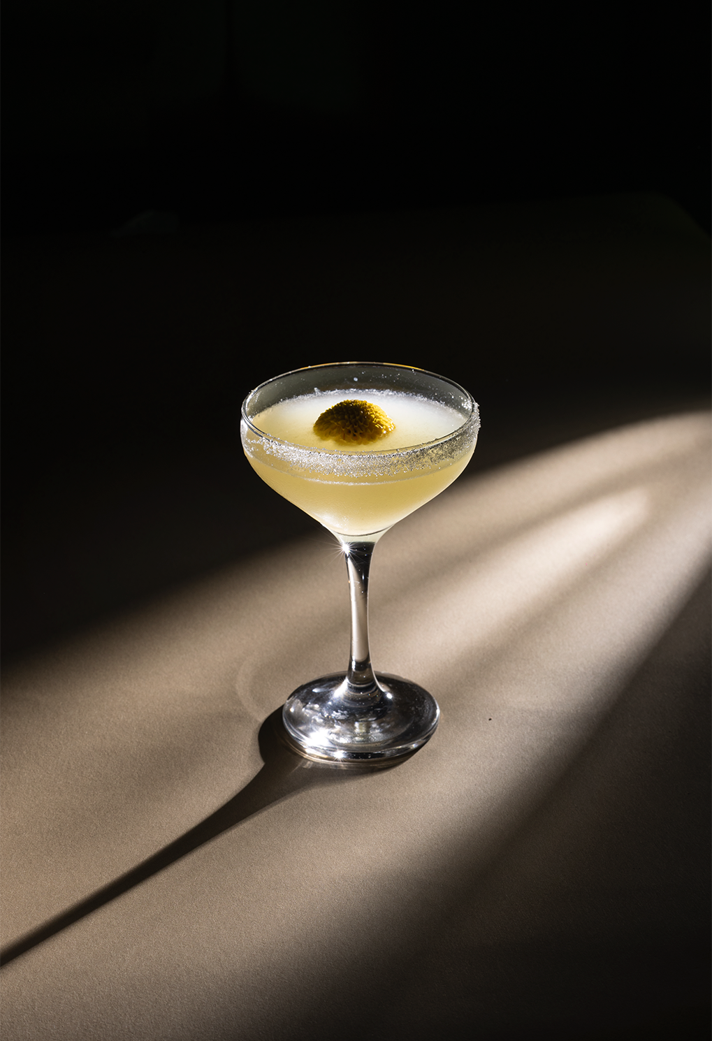 Cocktail in a coupe glass with a sugared rim and a small yellow garnish, on a sunlit table with dramatic shadows.