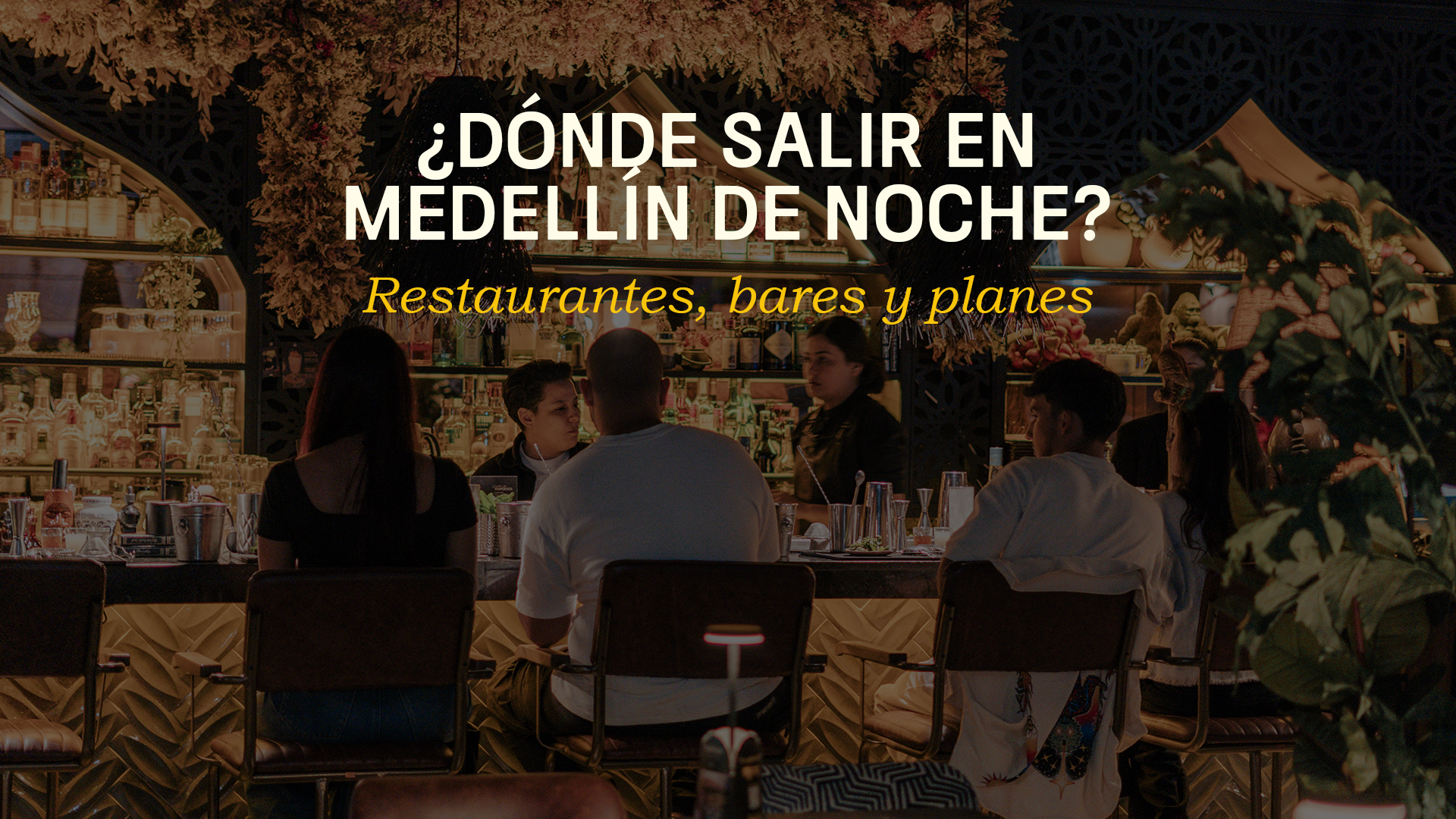 Bar scene at night with patrons seated along a glowing counter; shelves of bottles behind, and the headline '¿DÓNDE SALIR EN MEDELLÍN DE NOCHE?' with the subtitle 'Restaurantes, bares y planes'.