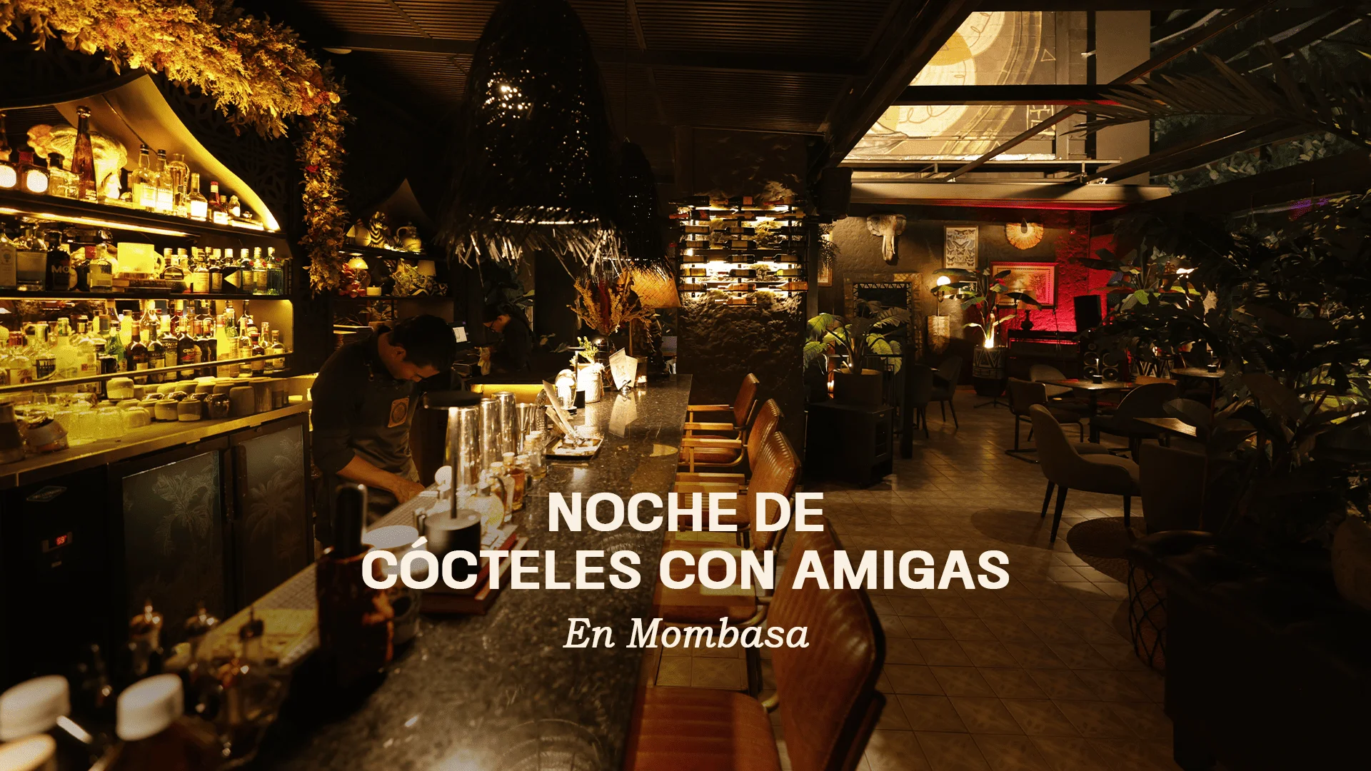 Dimly lit bar interior with bottles on shelves, a bartender at the counter, and lounge seating in the background; white text overlay reads 'Noche de cócteles con amigas'.